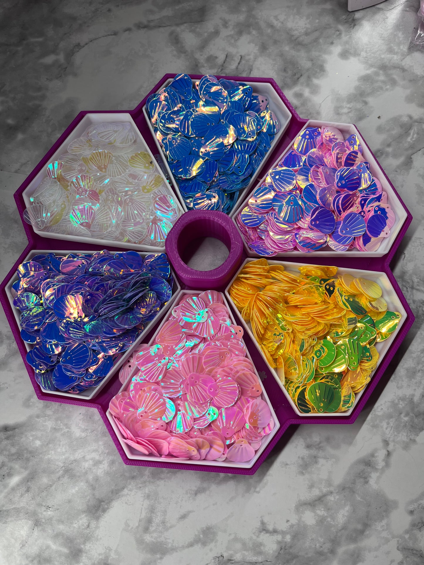 6 PACK BIG SIZE SEA SHELLS *THESE MAY BE FOR LIDS ETC 6 PACK