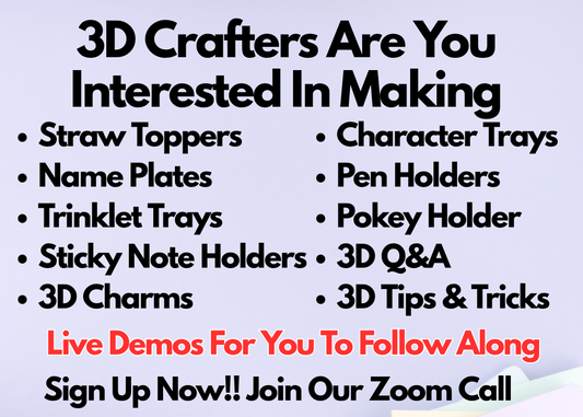 3D ZOOM CALL GUIDE *3 HOURS* *NO ITEM BEING SHIPPED